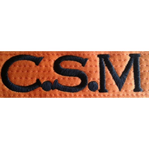 BRODERIE SUR CEINTURE