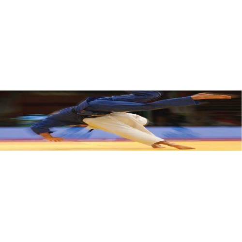 JUDO - JUJITSU